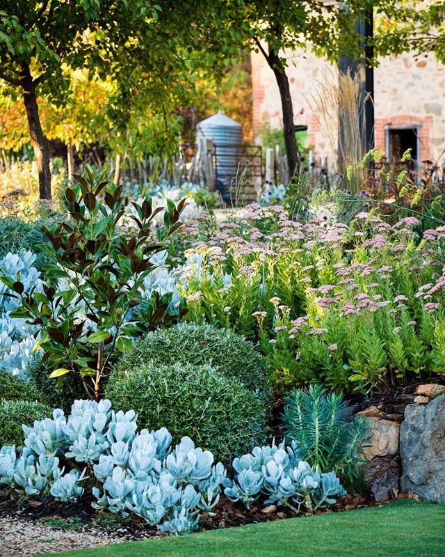 Magnificent Adelaide garden grown from recycled materials -   15 garden design Inspiration shrubs ideas