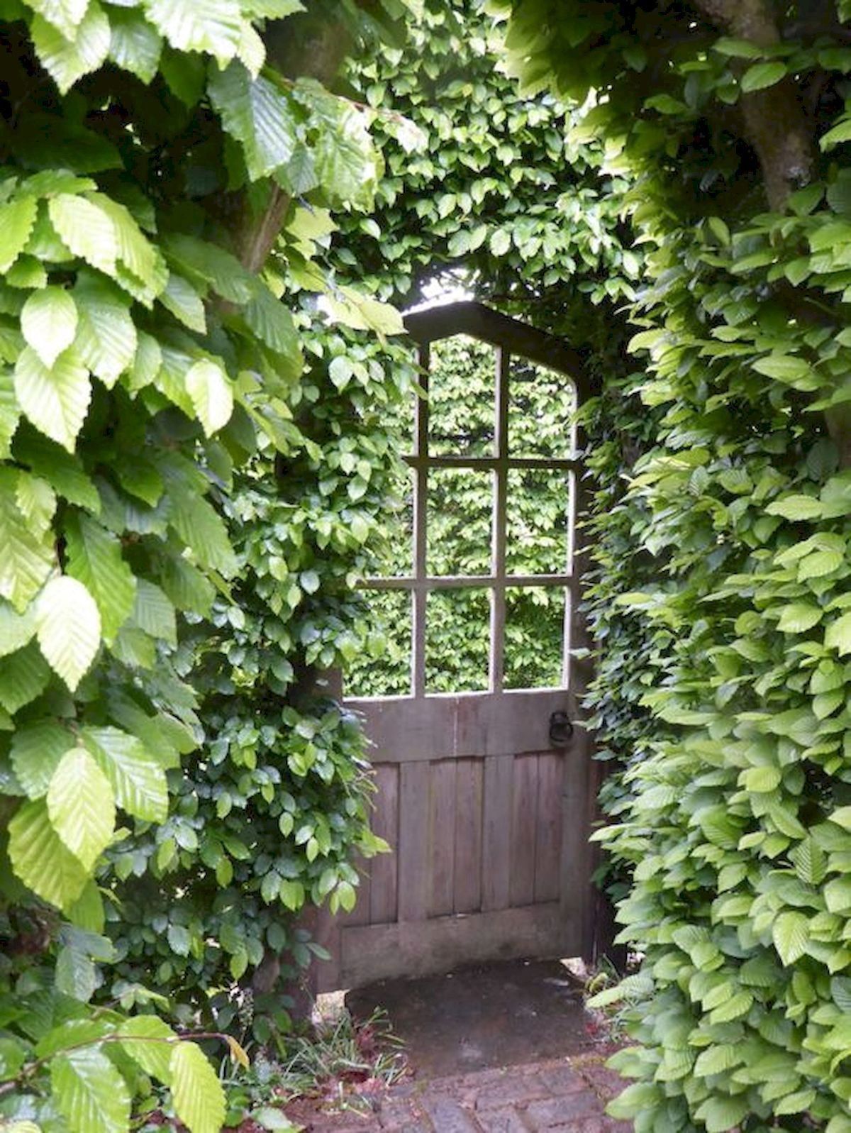 70 Best Garden Design Ideas For Making Your Page Beautiful -   15 garden design Inspiration shrubs ideas