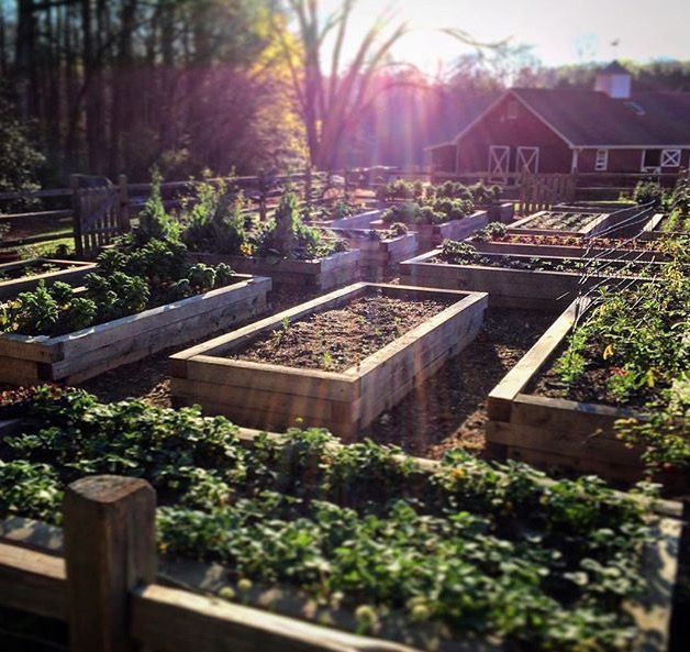 Raised bed garden ideas love the design layout of this beautiful vegetable garde -   15 home garden design Layout ideas