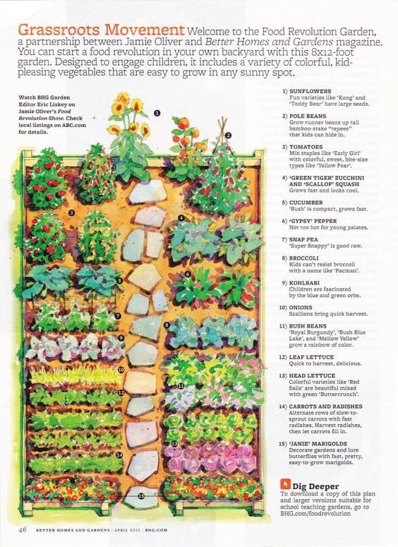 Kitchen Garden Designs, Plans + Layouts -   15 home garden design Layout ideas