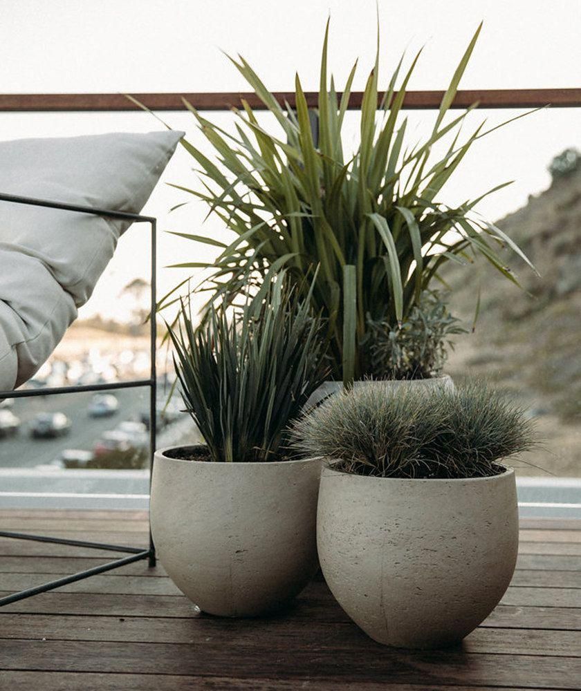 Trending on Remodelista: 5 Design Ideas to Steal from the California Coast -   15 plants Garden photography ideas
