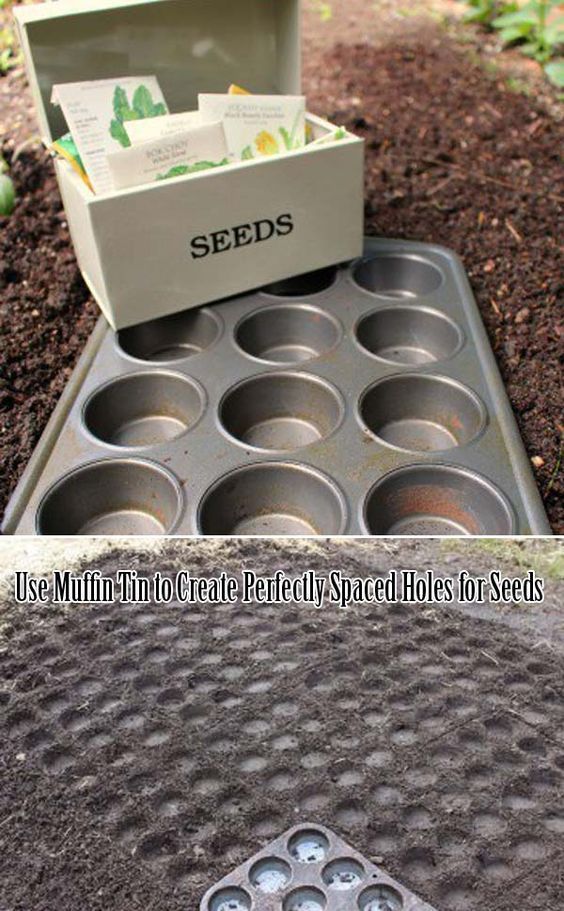 16 planting to get ideas
