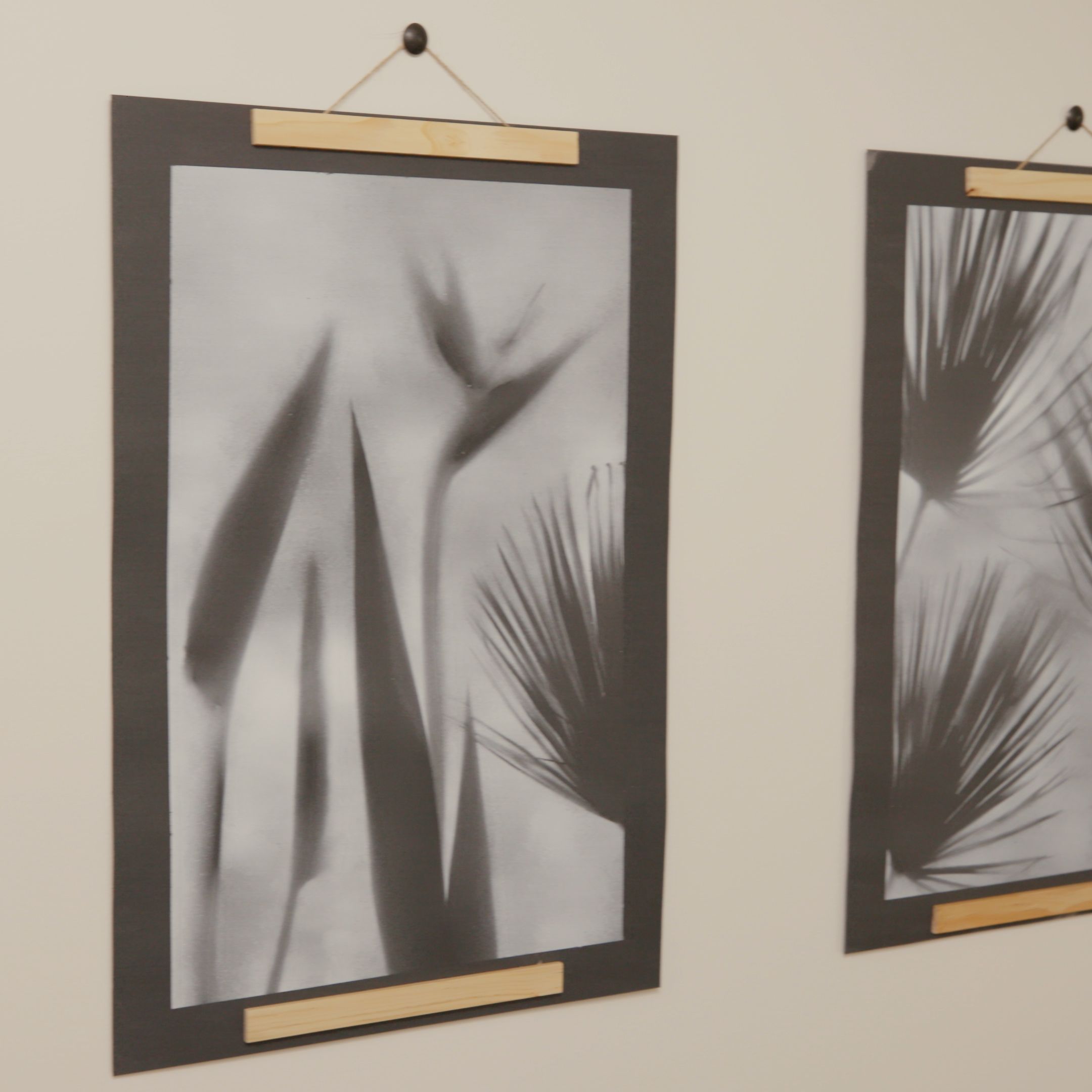 Palm Frond Art Project -   17 plants Art decor ideas