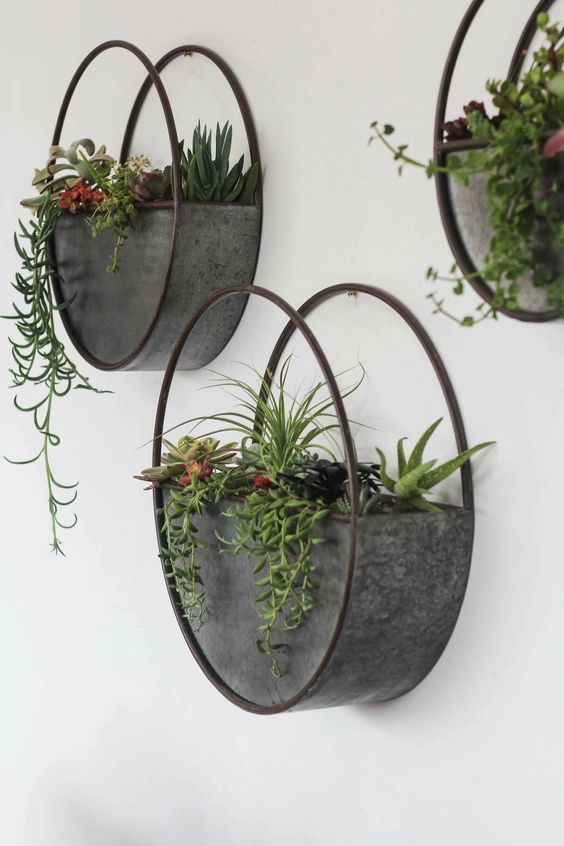 17 plants Art decor ideas