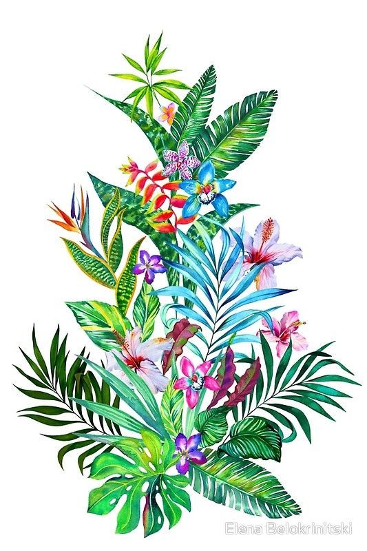 'Tropical Fest' Art Print by Elena Belokrinitski -   17 tropical planting Art ideas