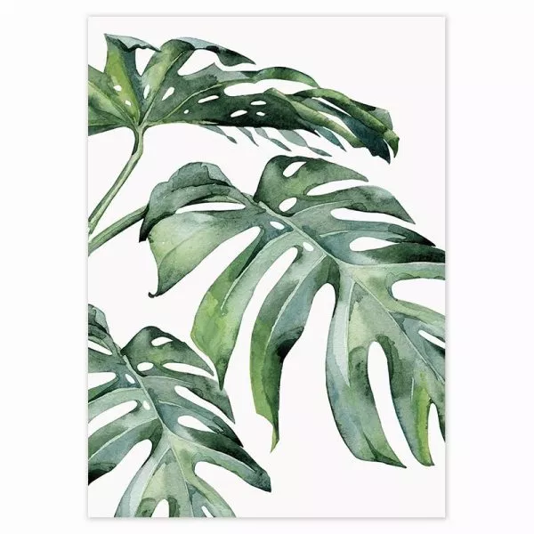 Tropical Plant 14 -   17 tropical planting Art ideas