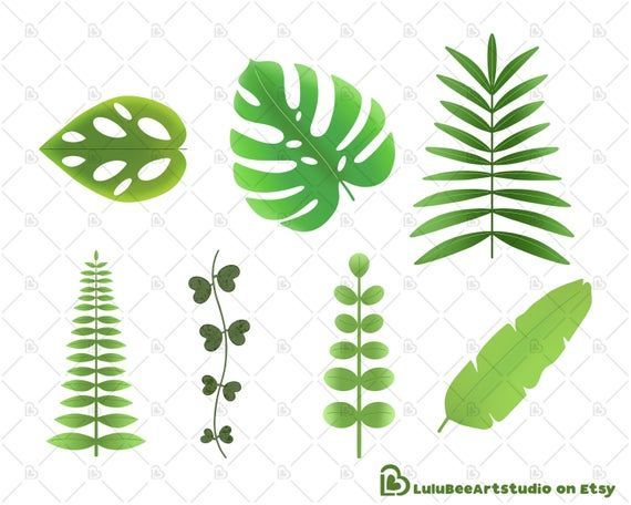 Tropical House Plants Clip Art Graphics, Monstera, Fern, Button Fern, Palm, Banana Leaf, Swiss Cheese Plant, String of Hearts, Silver Glory -   17 tropical planting Art ideas