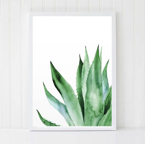Agave Plant Art. Tropical Watercolour Leaves. Leaf Botanical artwork. Printable Posters. ARTbyASolo Illustrations. Green Office Wall Decor -   17 tropical planting Art ideas