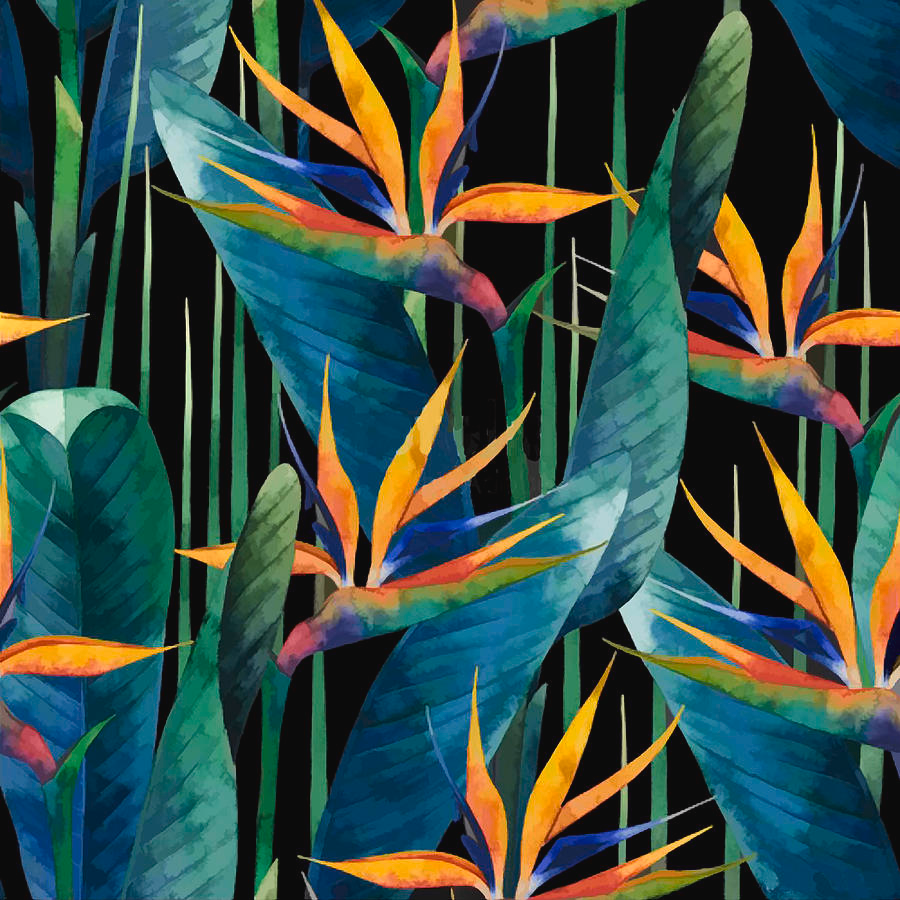 Watercolor Painting Tropical Bird Of Paradise Plants by Elaine Plesser -   17 tropical planting Art ideas