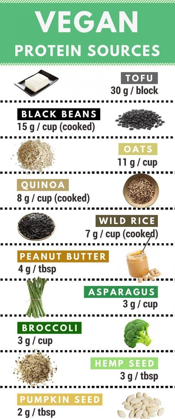 18 healthy recipes Protein nutrition ideas