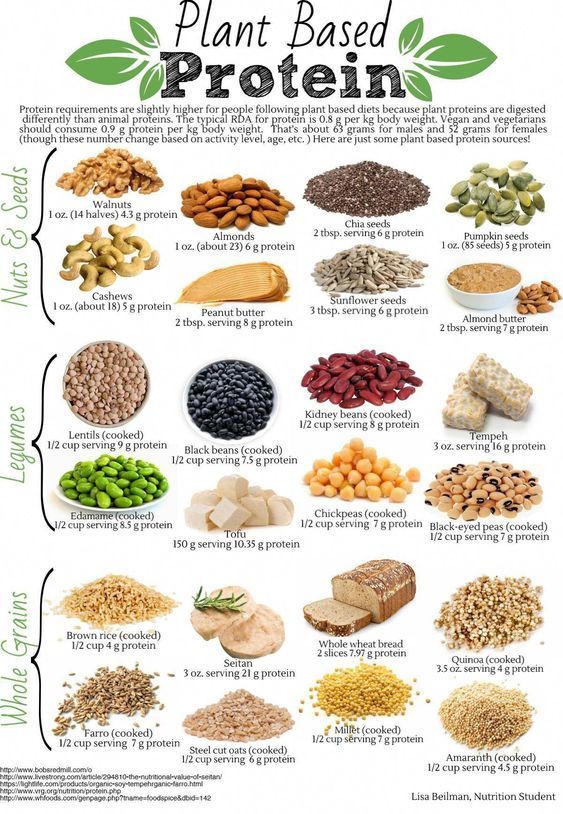 Plant Based Protein -   18 healthy recipes Protein nutrition ideas