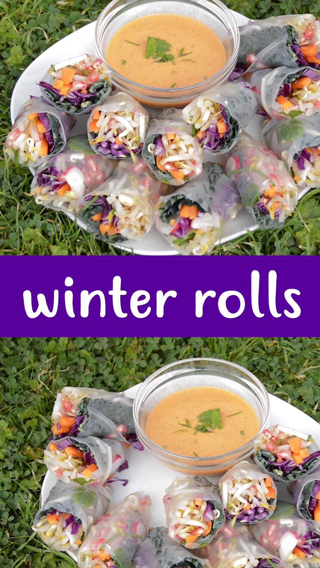 Winter rolls -   18 healthy recipes Wraps appetizers ideas