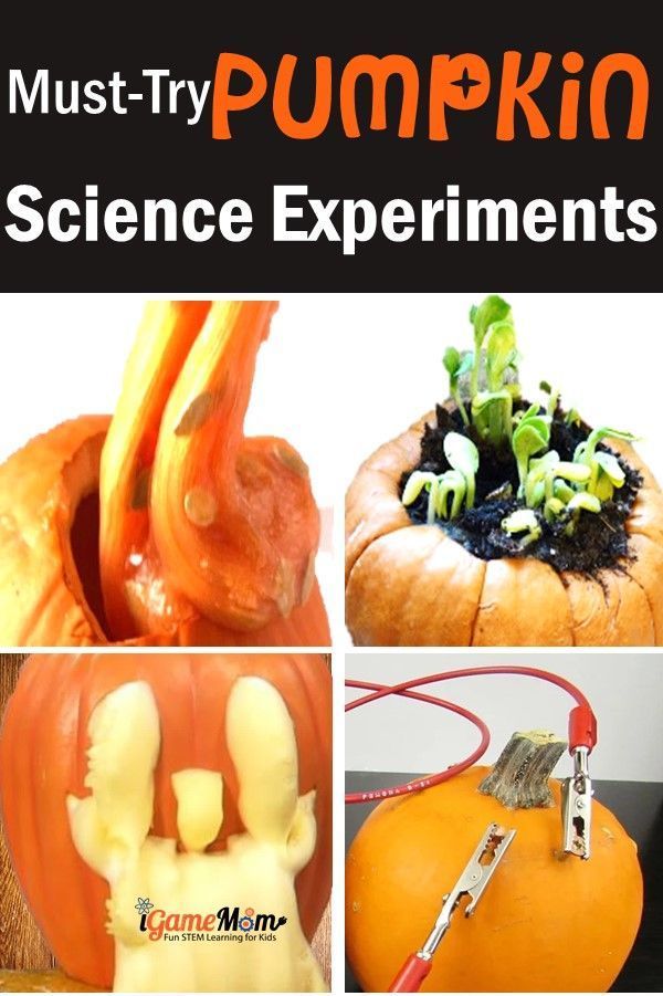 9 Pumpkin Science Activities for Kids -   18 planting For Kids science experiments ideas
