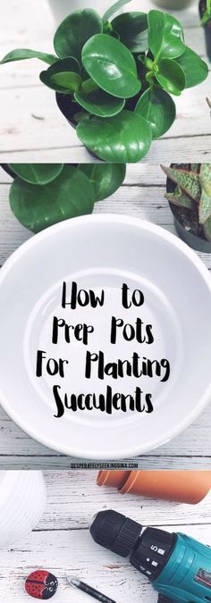 How to Prep Pots for Planting Succulents -   19 how to plants Succulent ideas