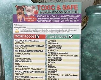 POISONOUS TOXIC PLANTS Flowers Trademarked for Pets Dogs Cats Emergency Home Alone 5” x 7” Veterinarian Approved Fridge Safety Magnet -   19 plants design cats ideas