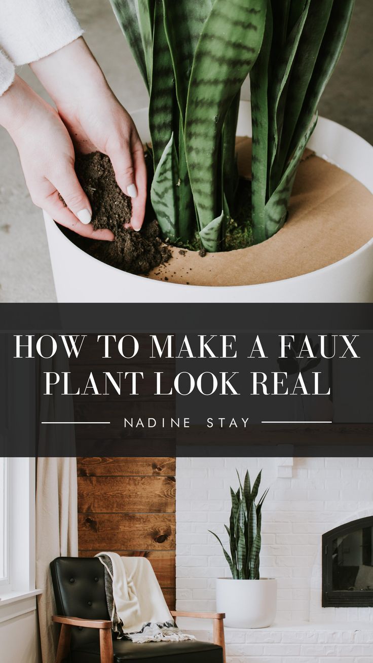 HOW TO MAKE A FAUX PLANT LOOK REAL -   19 plants design cats ideas