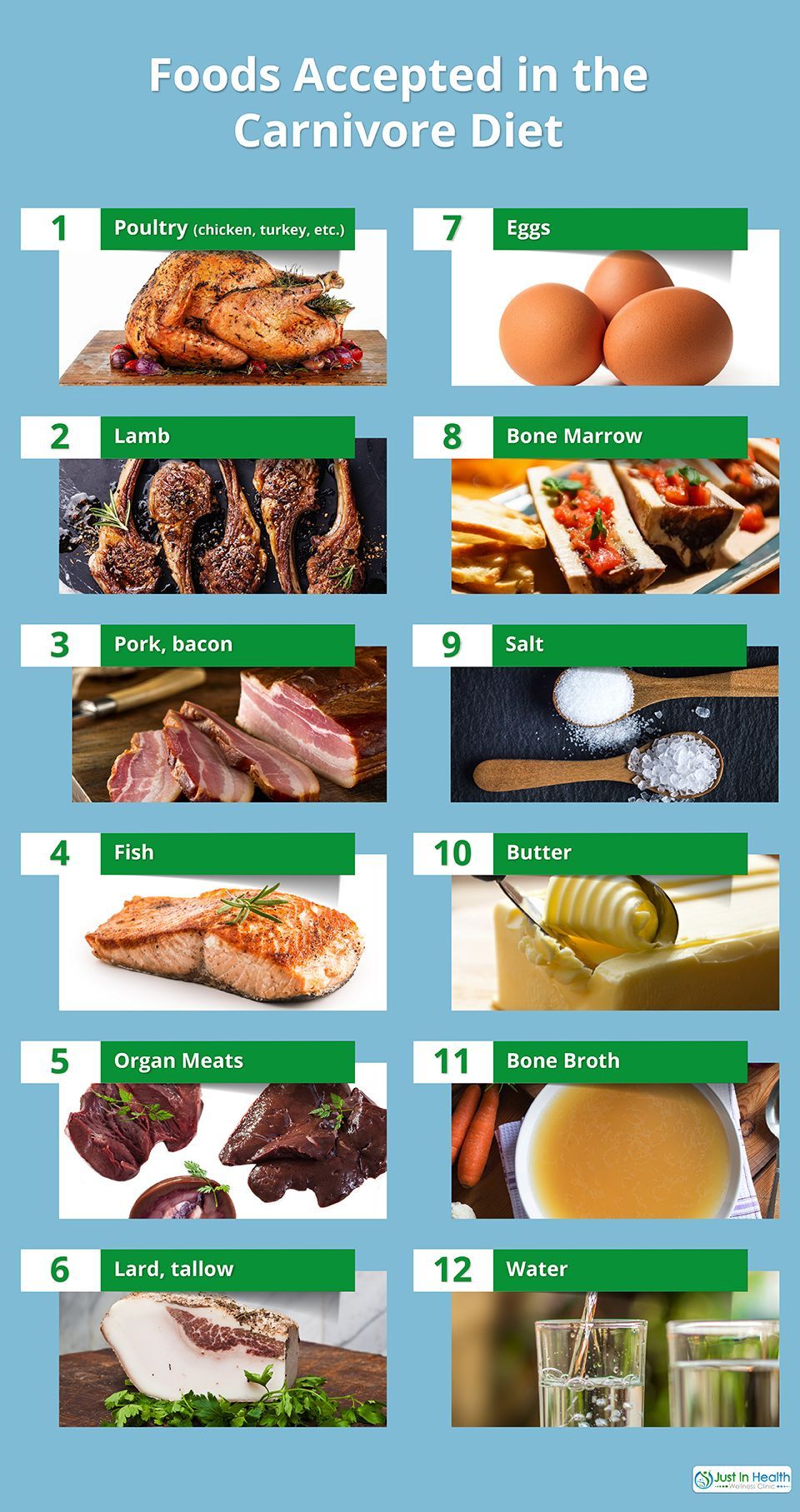 The Carnivore Diet: Eating ONLY Meat -   7 no meat diet Meals ideas