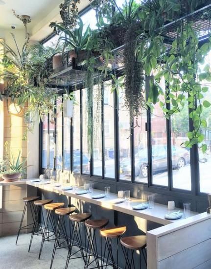 57 best ideas for restaurant seating booth window -   8 plants Decoration restaurant ideas