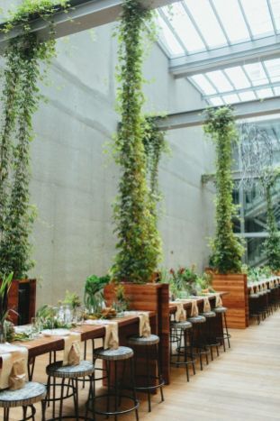 Marvelous Indoor Vines and Climbing Plants Decorations 28 -   8 plants Decoration restaurant ideas