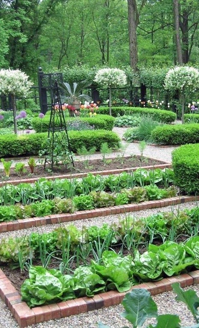 Formal vegetable garden layout - -   9 garden design Layout thoughts ideas