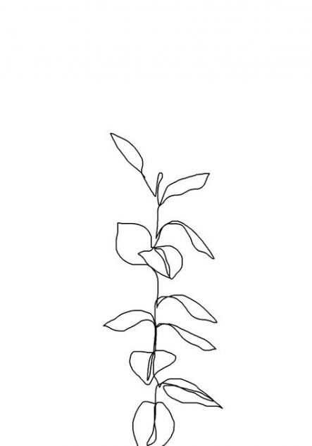 9 plants Aesthetic illustration ideas
