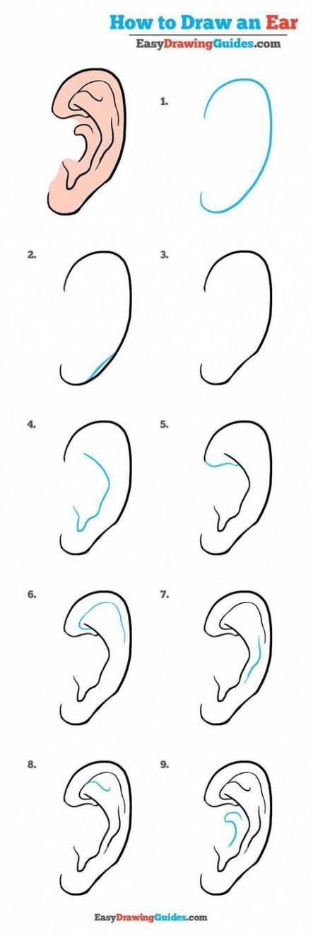 32+ trendy drawing tutorial step by step basic -   12 hair Drawing step by step ideas
