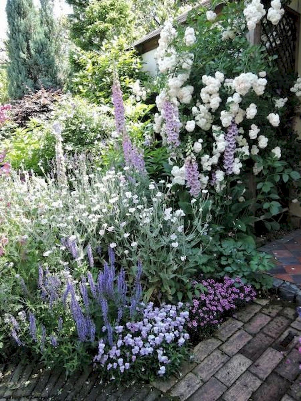 12 planting Texture inspiration ideas