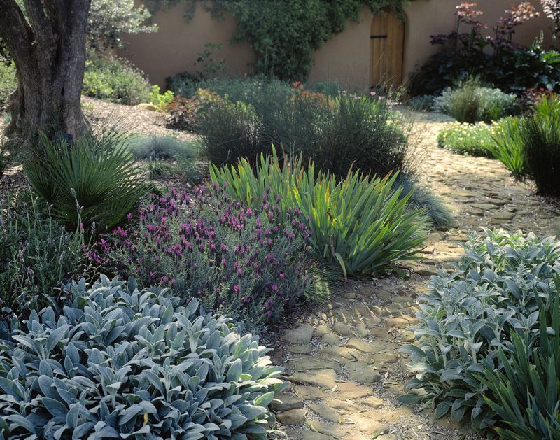 Using Plants for Texture in Garden Design -   12 planting Texture inspiration ideas