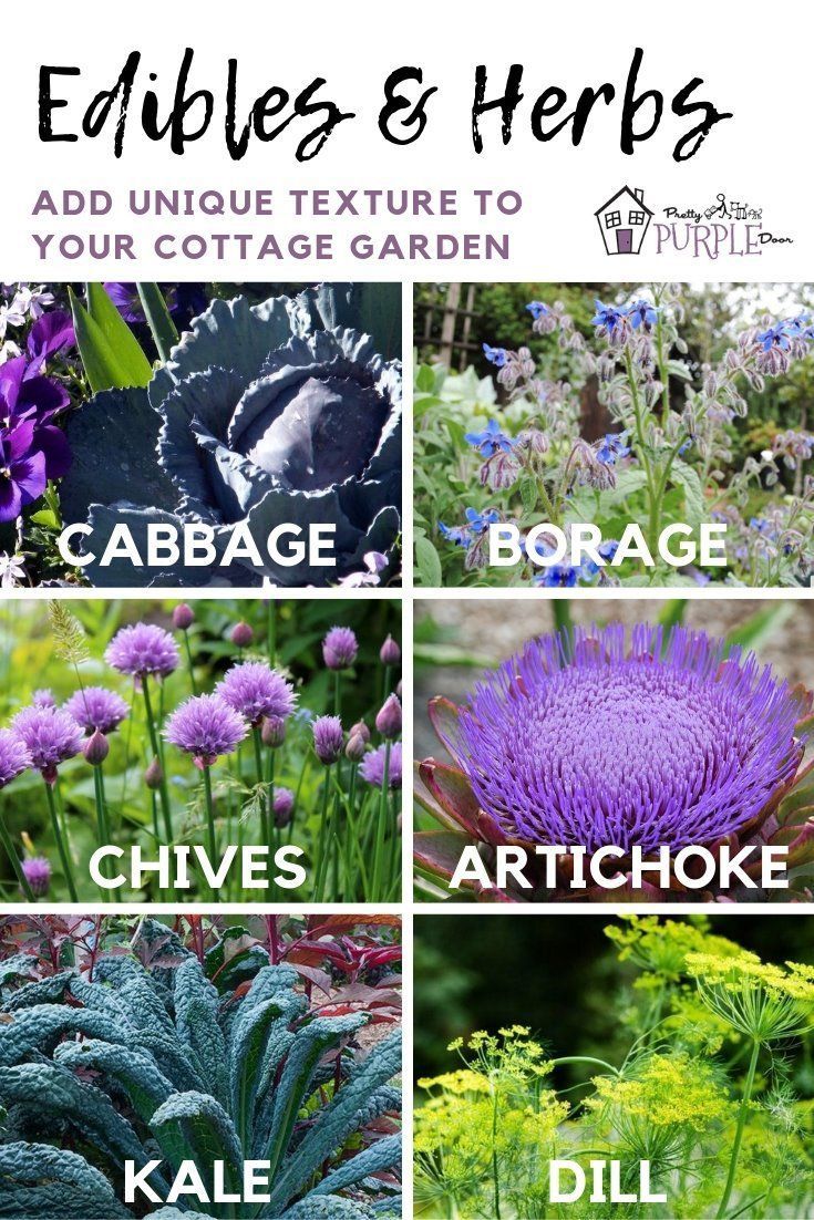 Plant Texture: for a garden you hafta touch | Pretty Purple Door -   12 planting Texture inspiration ideas