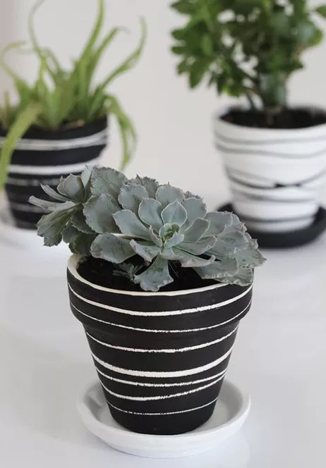 DIY Painted Terra Cotta Pots -   13 plants Painting terra cotta ideas