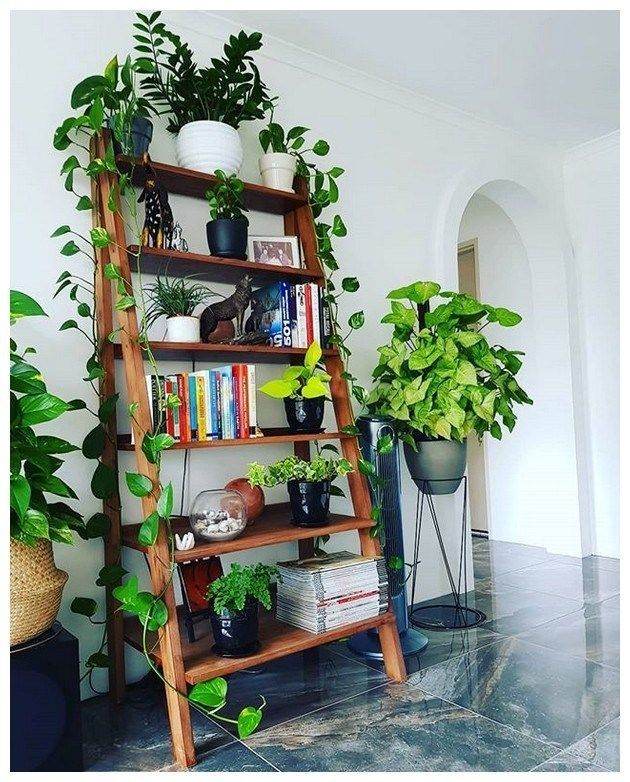 вњ” 85 amazing indoor plants decor ideas 1 : solnet-sy.com -   13 vintage plants Decor ideas