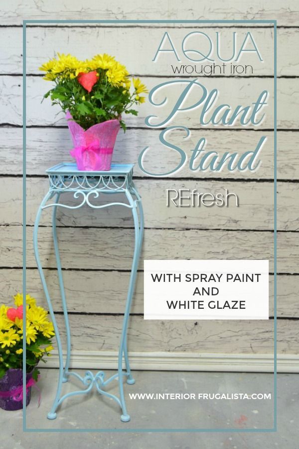 14 iron plants Stand ideas