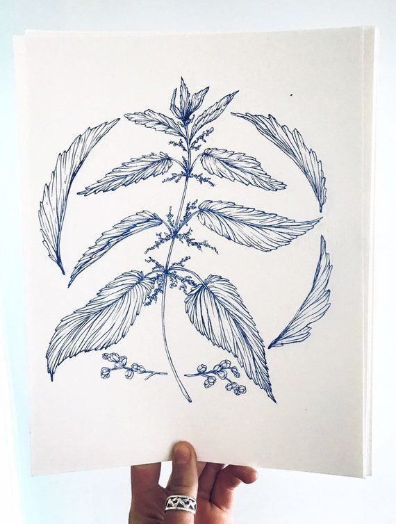 Your place to buy and sell all things handmade -   14 planting Illustration products ideas