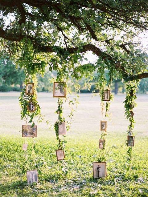 14 wedding Garden tree ideas