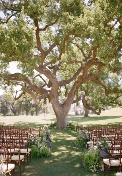 Oak Tree Wedding Ceremony Style 68+ Trendy Ideas -   14 wedding Garden tree ideas
