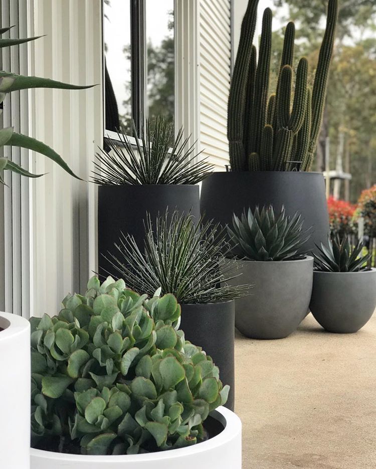 If it's pot plants that make you happy, pot up as many as you can -   15 planting Outdoor potted ideas