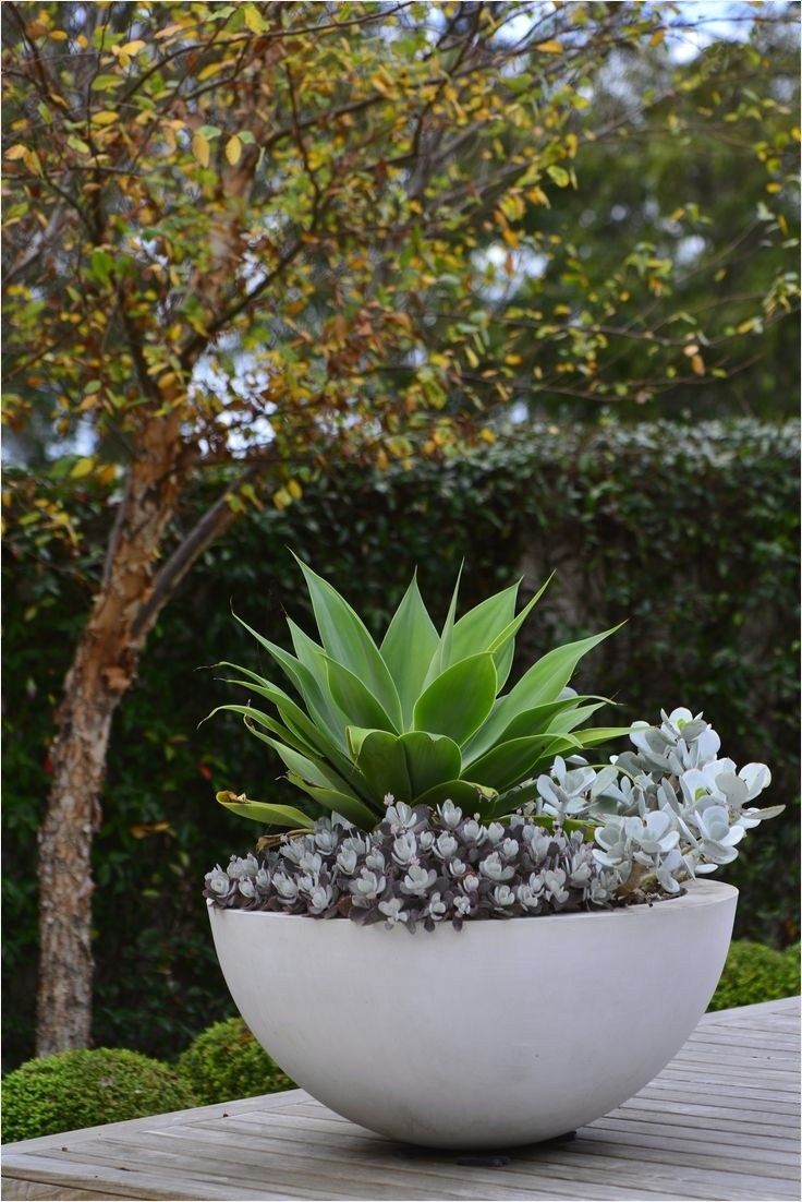 Outdoor Potted Plant Entryway Ideas -   15 planting Outdoor potted ideas