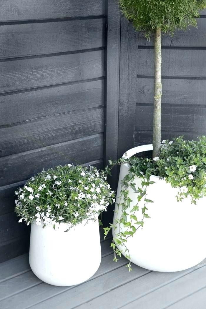20 Ideas for White Outdoor Planters -   15 planting Outdoor potted ideas