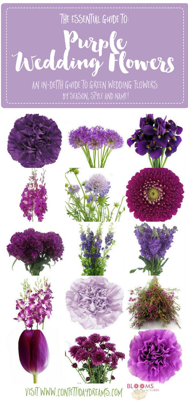 Wedding Ideas by Color: 36 Purple Wedding Color Ideas - ChicWedd -   15 wedding Centerpieces purple ideas