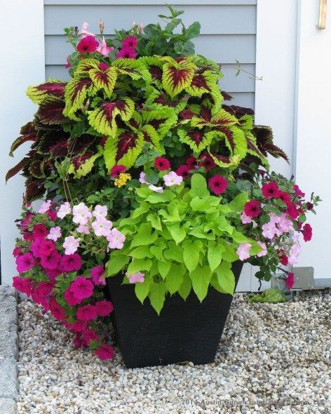 38 Comfy Summer Container Garden Decoration Ideas - HOMEWOWDECOR -   16 garden design Flower pots ideas