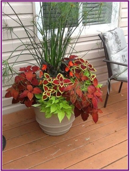 27+ pretty front door flower pots for a good first impression 00011 -   16 garden design Flower pots ideas