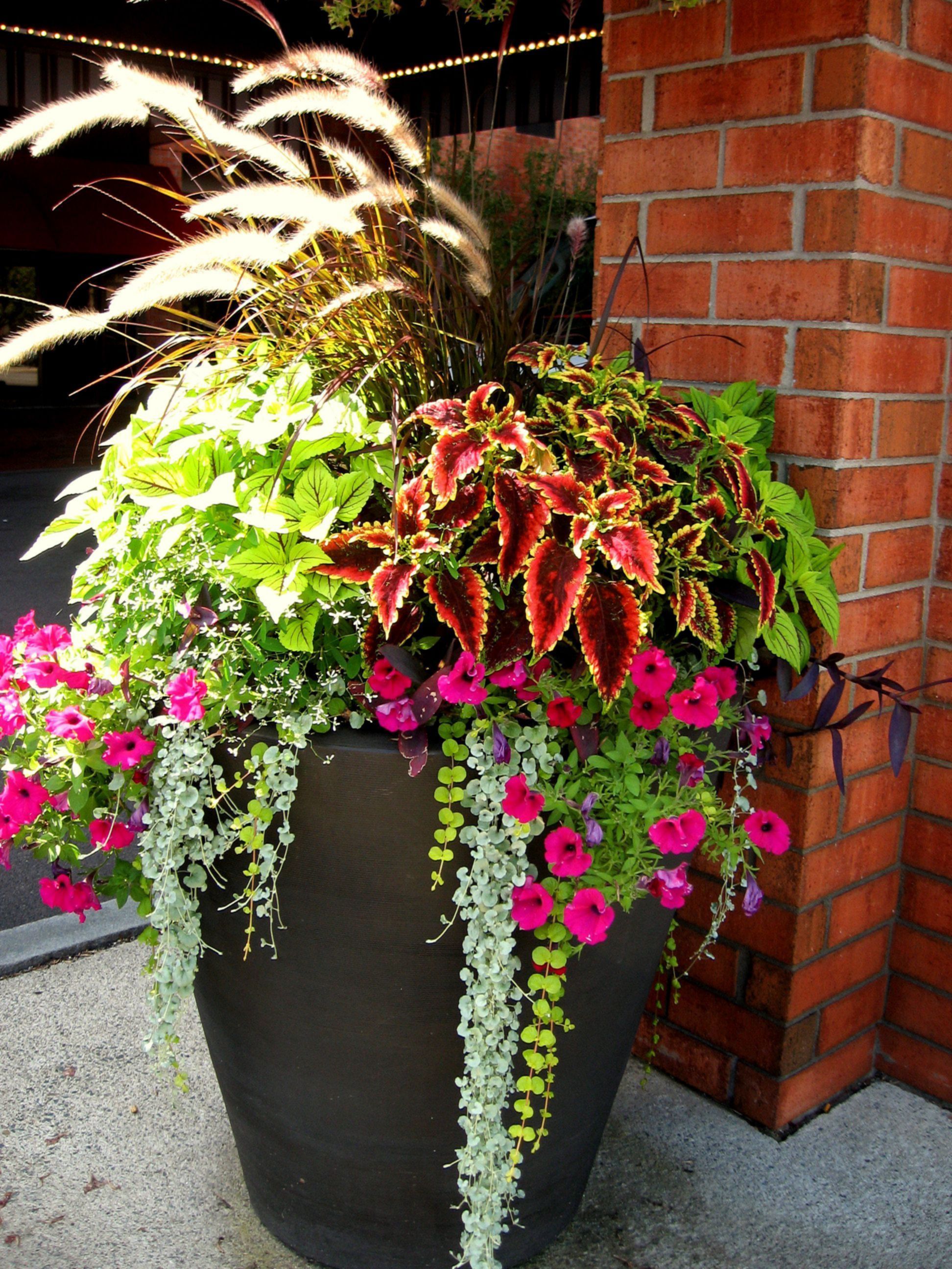 16 garden design Flower pots ideas