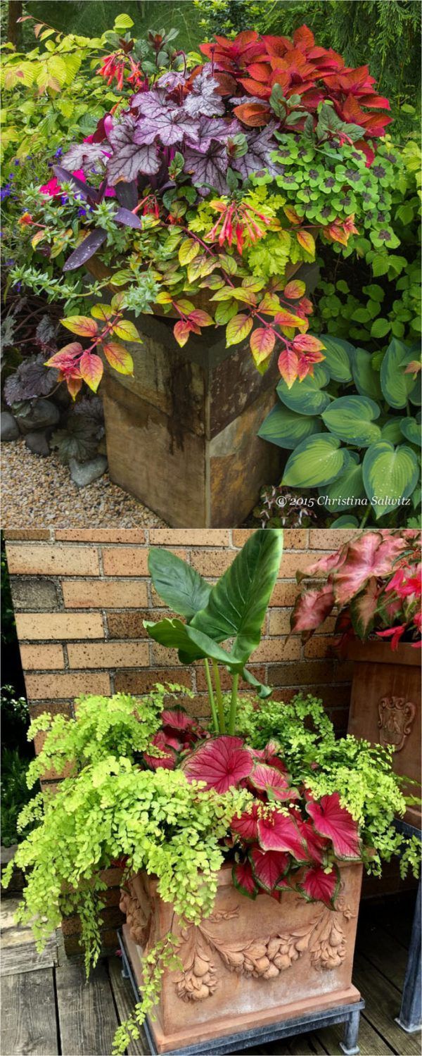 16 Colorful Shade Garden Pots and Plant Lists -   16 garden design Flower pots ideas