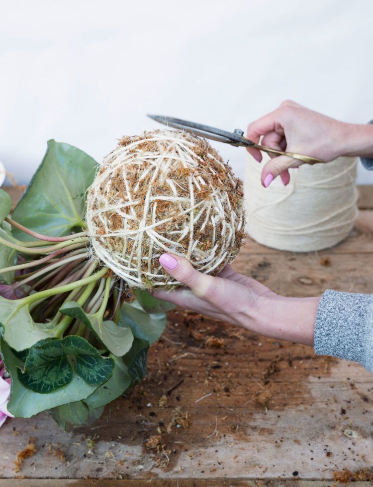 How to make Japanese inspired hanging Kokedama -   16 plants Hanging crafts ideas
