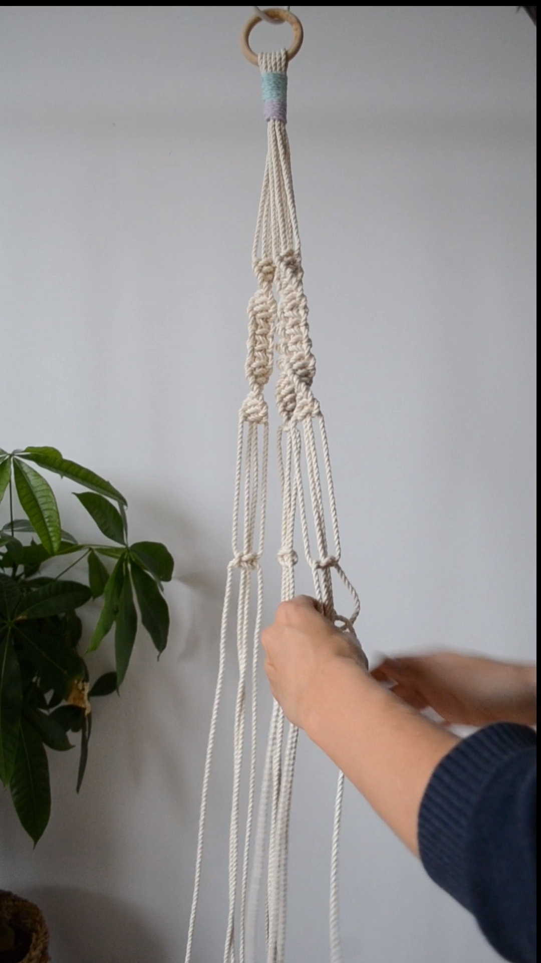 Macrame Plant Hanger Tutorial -   16 plants Hanging crafts ideas