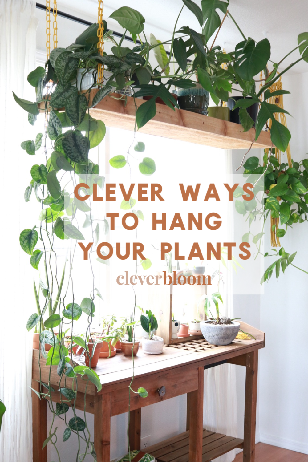 Clever Ways To Hang Your Plants -   16 plants Hanging crafts ideas