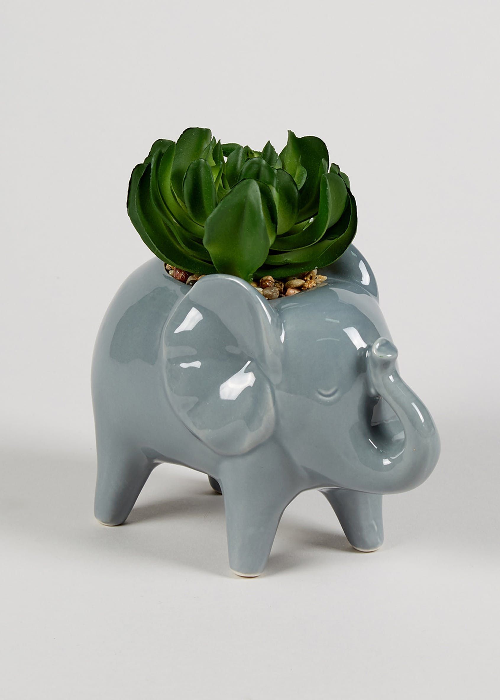 Succulent in Elephant Planter (16cm x 14cm x 9cm) – Grey -   18 room decor Green planters ideas