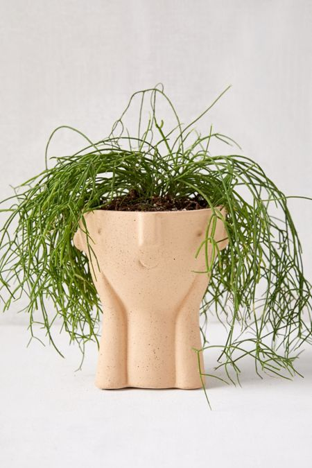 Hector Face Planter -   18 room decor Green planters ideas