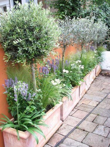 Small Gardens - mycrazywedding.com/latest -   12 garden design Mediterranean backyards ideas
