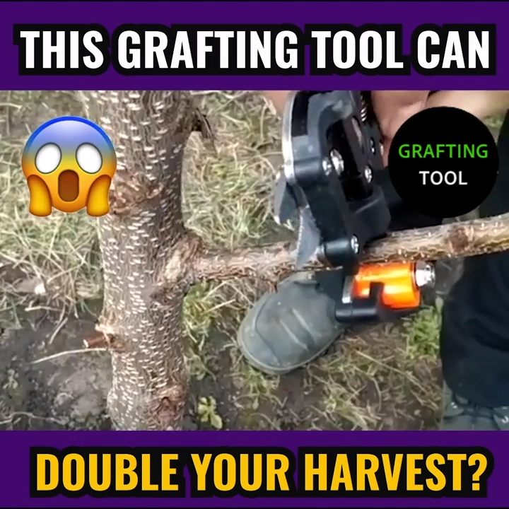GRAFTING TOOL -   13 planting Garden awesome ideas